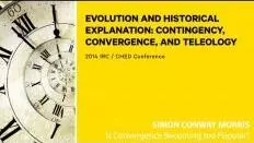 hqdefault 25