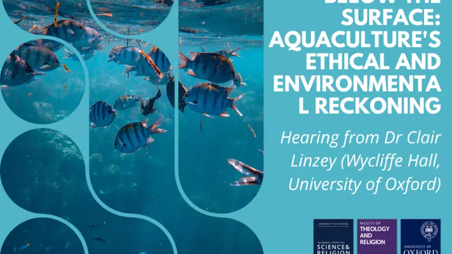 below the surface aquacultures ethical and environmental reckoning
