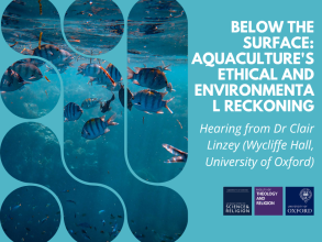 below the surface aquacultures ethical and environmental reckoning